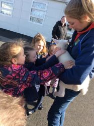 bunscoil-bheanna-boirche-castlewellan